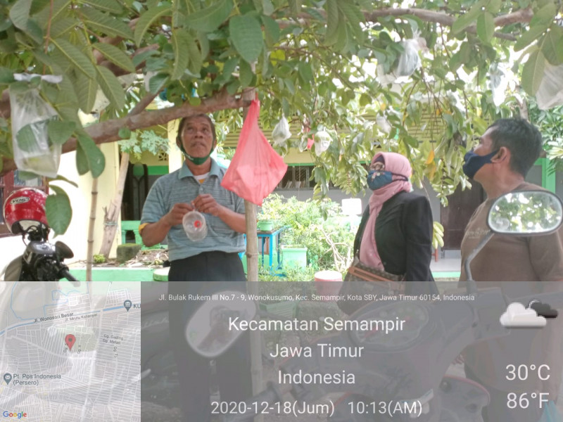 Administrasi smp yp 17 surabaya merupakan kegiatan yang melayani keuangan siswa, di mana informasi tersebut memiliki peran perkembangan pembangunan . Kunjungan Smp Yp 17 Surabaya Belajar Buah Tin Sambil Panen Jambu Merah Di Smp Pgri 6