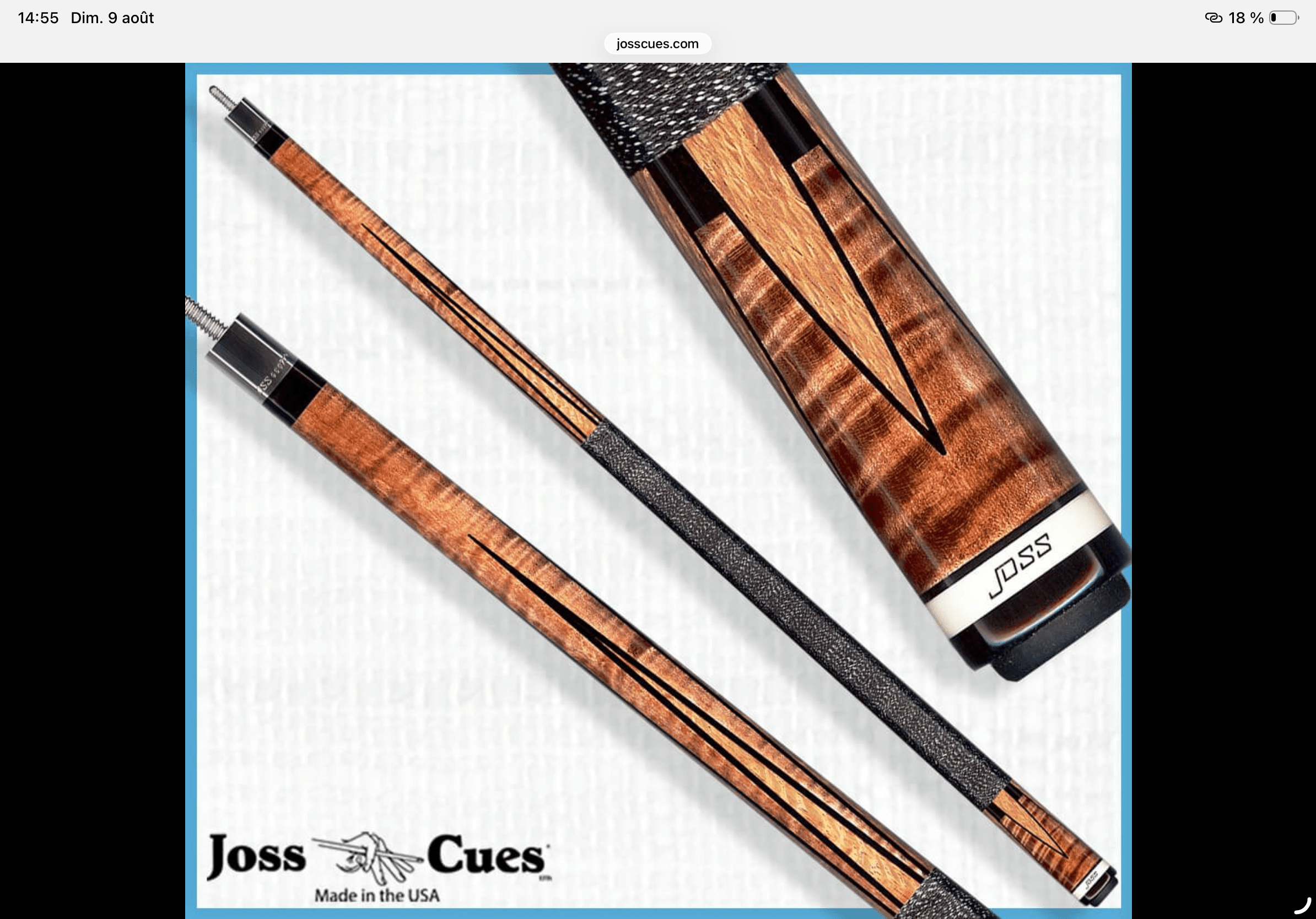 Joss Cues 1010