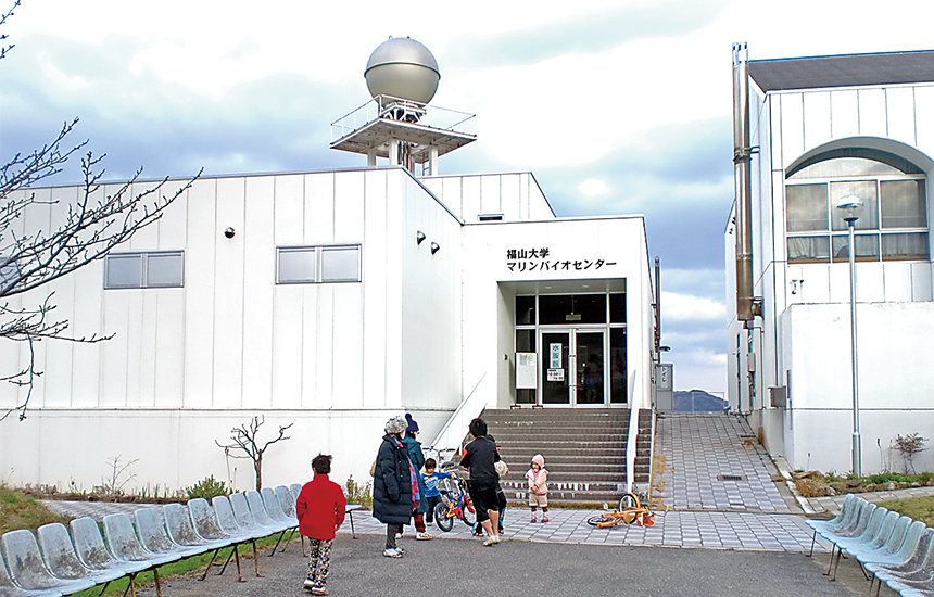 福山大学マリンバイオセンター水族館