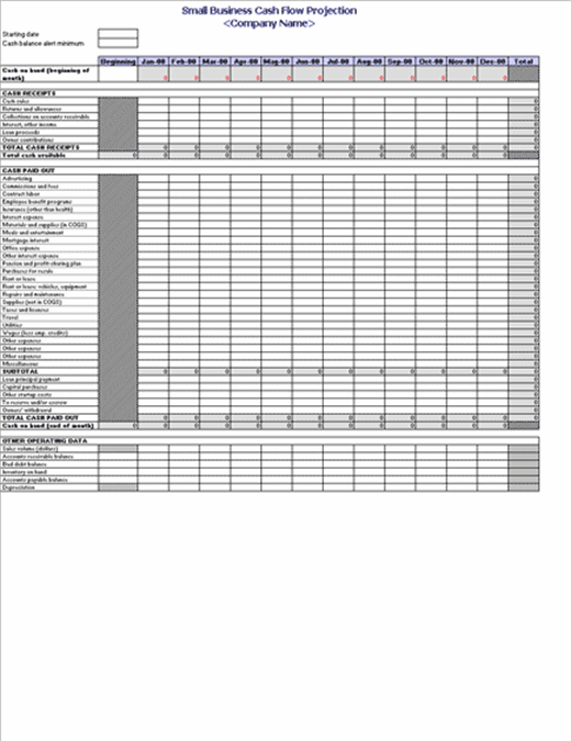 Small Business Cash Flow Projection