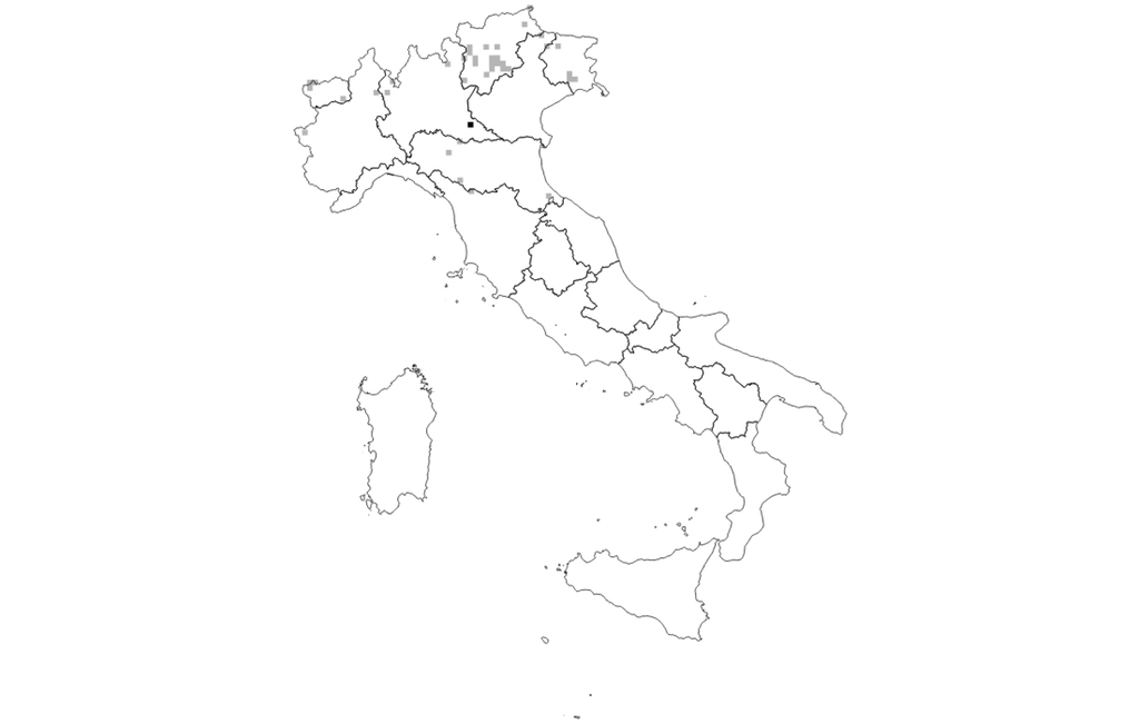 Cave paintings found on the small island of favignana in the aegadian islands off the northwest coast of sicily are believed to be 10,000 . New National And Regional Annex I Habitat Records From 13 To 15
