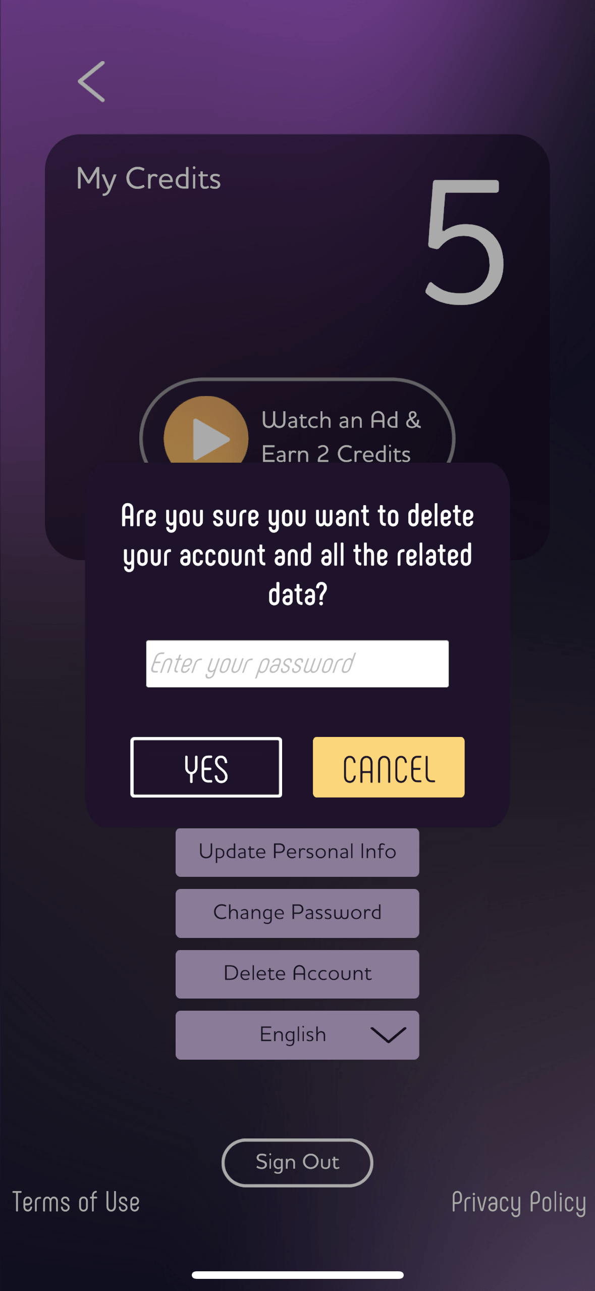 Password confirmation and YES button