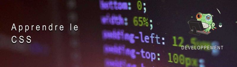 Binaryfrog D Veloppement Apprendre Le Javascript - Desktop Space Images for Desktop