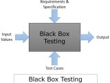 Black Box Testing Techniques