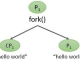 Difference Between Fork And Exec System Call Binary Terms