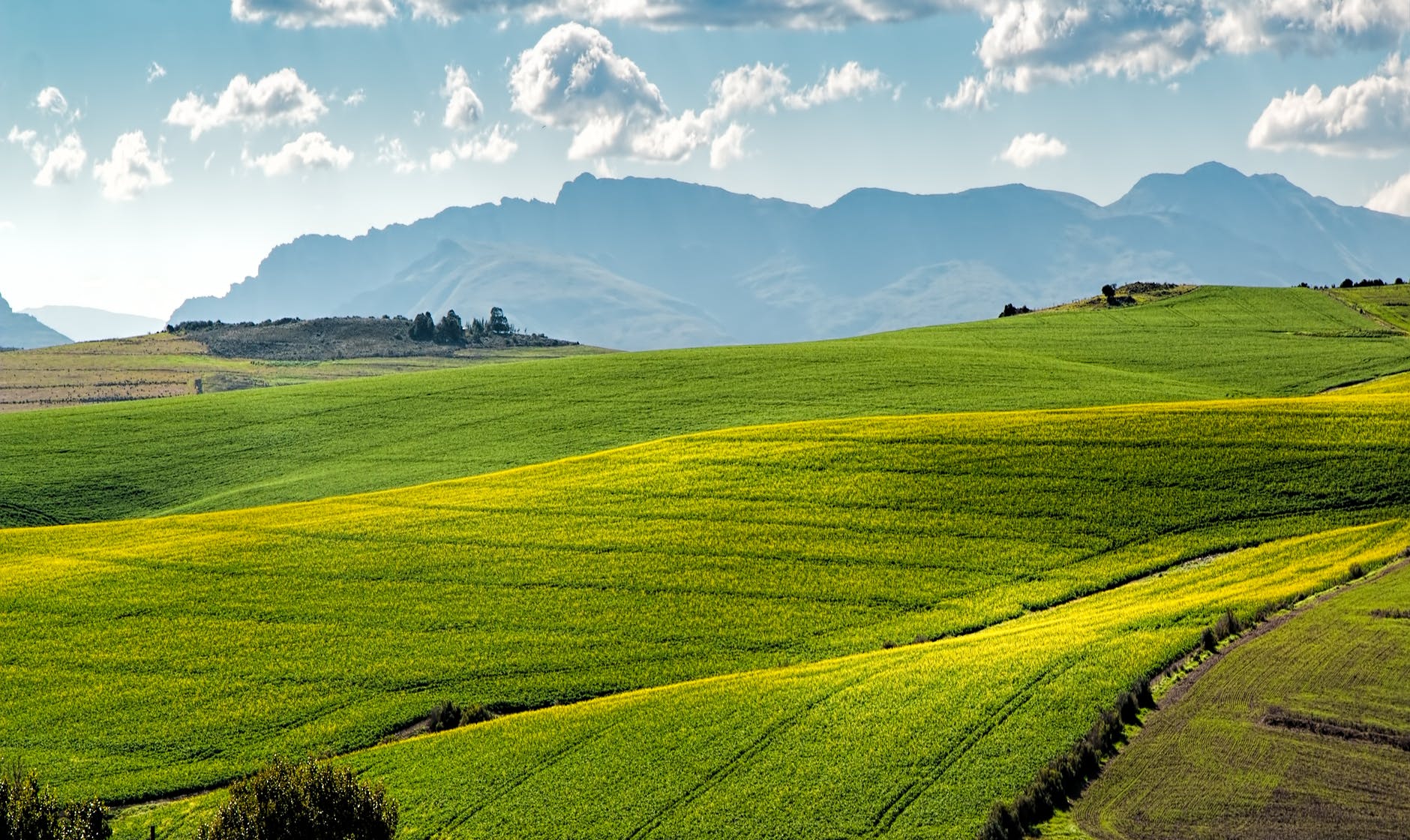 Green field with mountains in the background