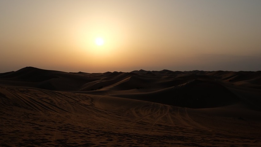 desert (1)
