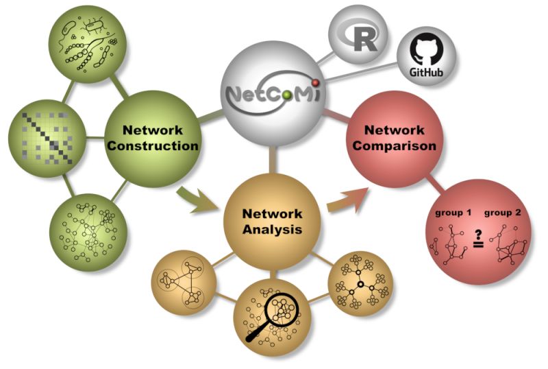 Constructing Networks For Microbiome Data Netconstruct Netcomi - Download Stunning City Image | Mobile