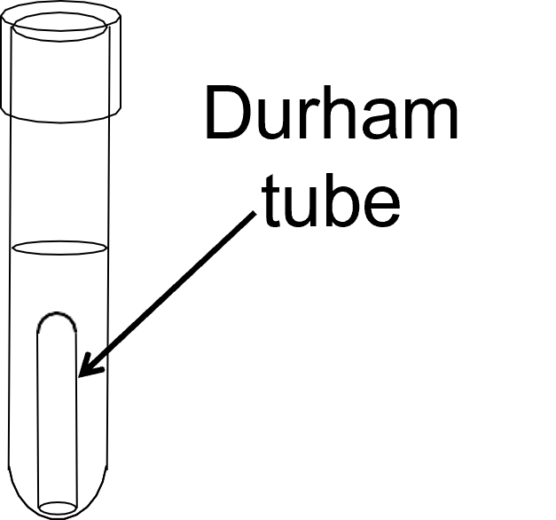 Durham Can Medium - HD City Pictures for Desktop