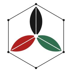 Biochar Academy
