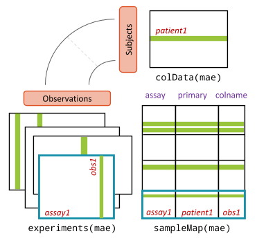 Github Hit Immunologylab Metagenomics Analysis - Premium Geometric Picture Gallery - Retina