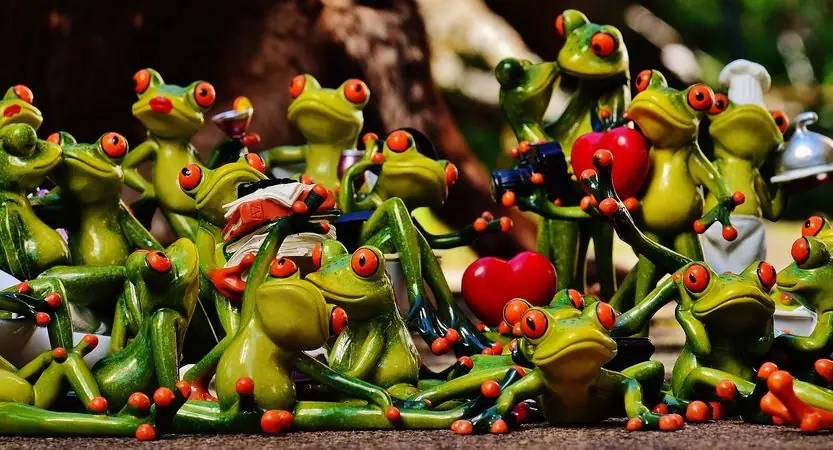 Réunion de grenouilles