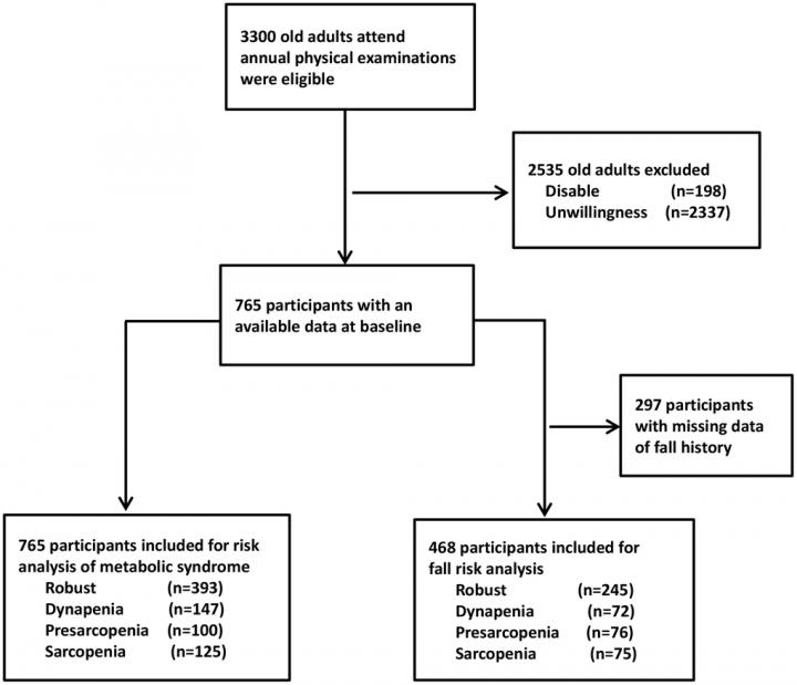 AgingUS Adiposity & Muscle Function a communitybased cross
