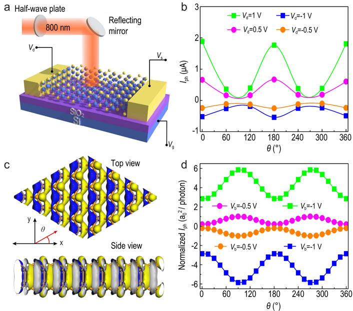 High performance polarization sensitive photodetectors on 2D βInSe
