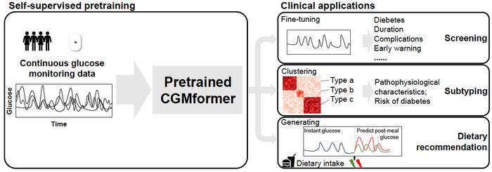 Revolutionizing Glucose Monitoring: A Pretrained Transformer Model for Decoding Individual Glucose Dynamics from Continuous Data