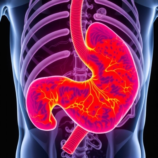 Deep Learning Advances Gastric Cancer Image Analysis