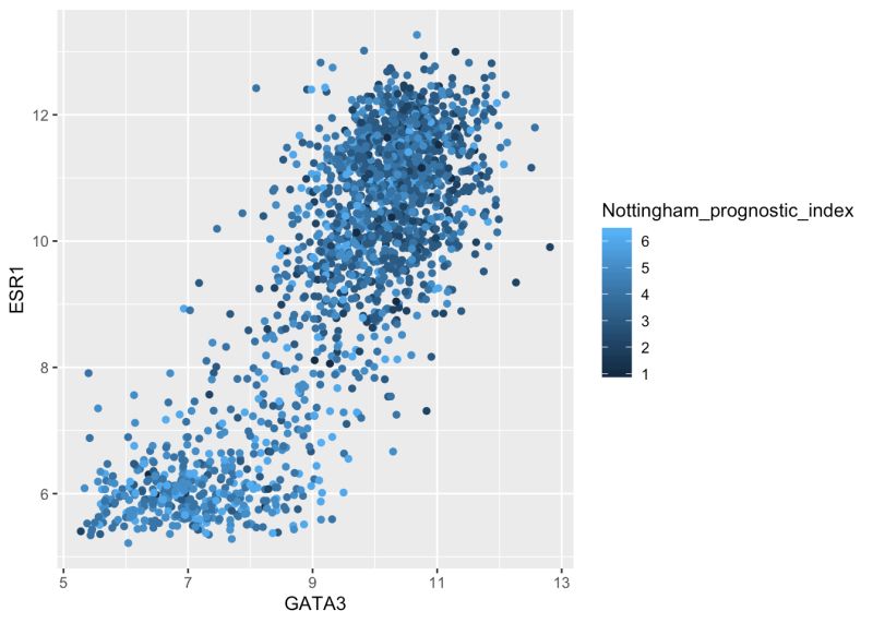 Ggplot2 Scatter Plot With Labels Duneurope - Ultra HD Colorful Design - HD