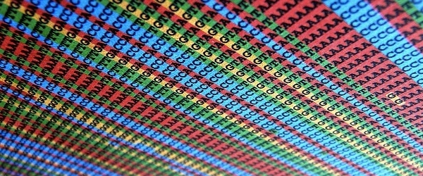 MUSCLE: Tool for Multiple Sequence Alignment | Bioinformatics Review
