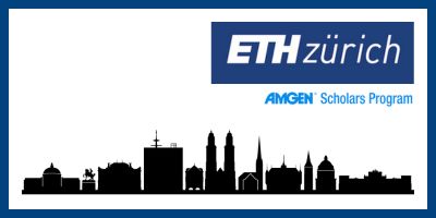 Biointerns - Stunning City Texture - Mobile