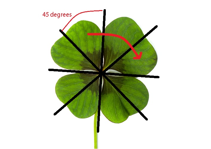 3) list any 5 symmetrical objects from your daily life · 1. Radial Symmetry The Definitive Guide Biology Dictionary
