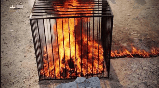 Jordanian pilot - Burned Alive