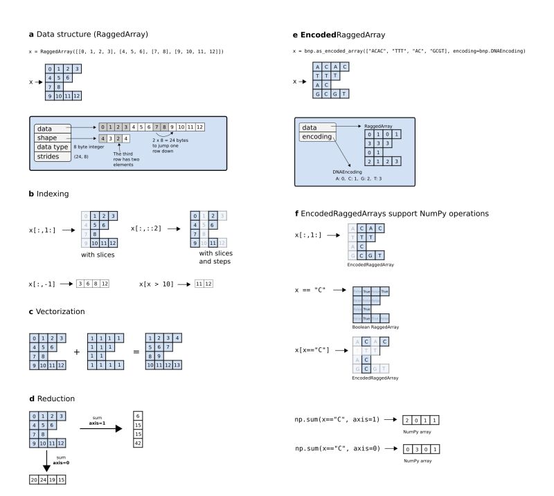 Bionumpy Array Programming For Biology Nature Methods - Premium City Picture Gallery - 8K
