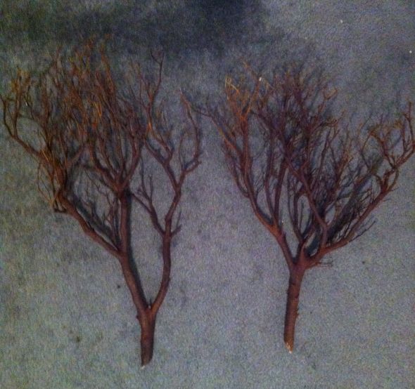 $5.98 white gift bags, hobby lobby: My Manzanita Branches Are Here I Must Share My Excitement