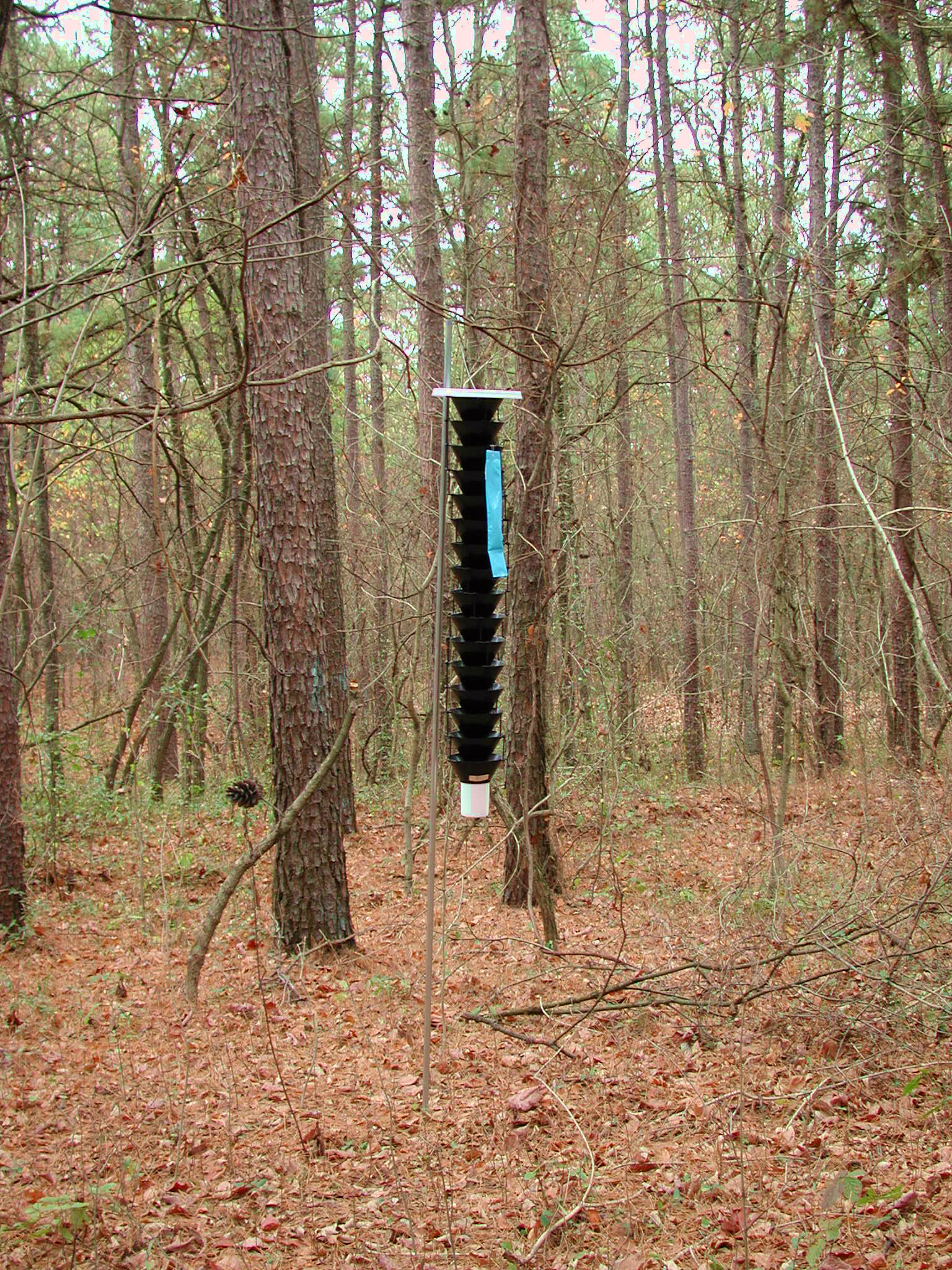 Multiple-funnel trap