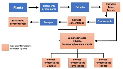 Processos de extração de canabidiol da cannabis medicinal | Biovera (2) Processos de extração de canabidiol da cannabis medicinal | Biovera (2)