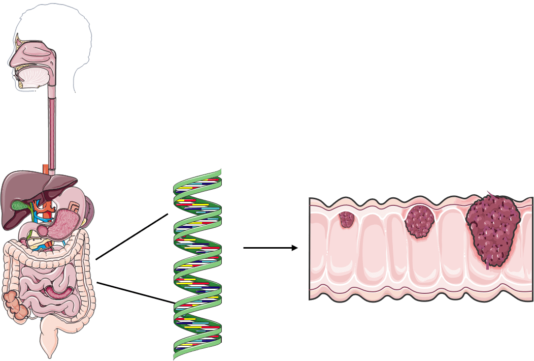 Decontamination strategy for detection of cfmDNA in humans