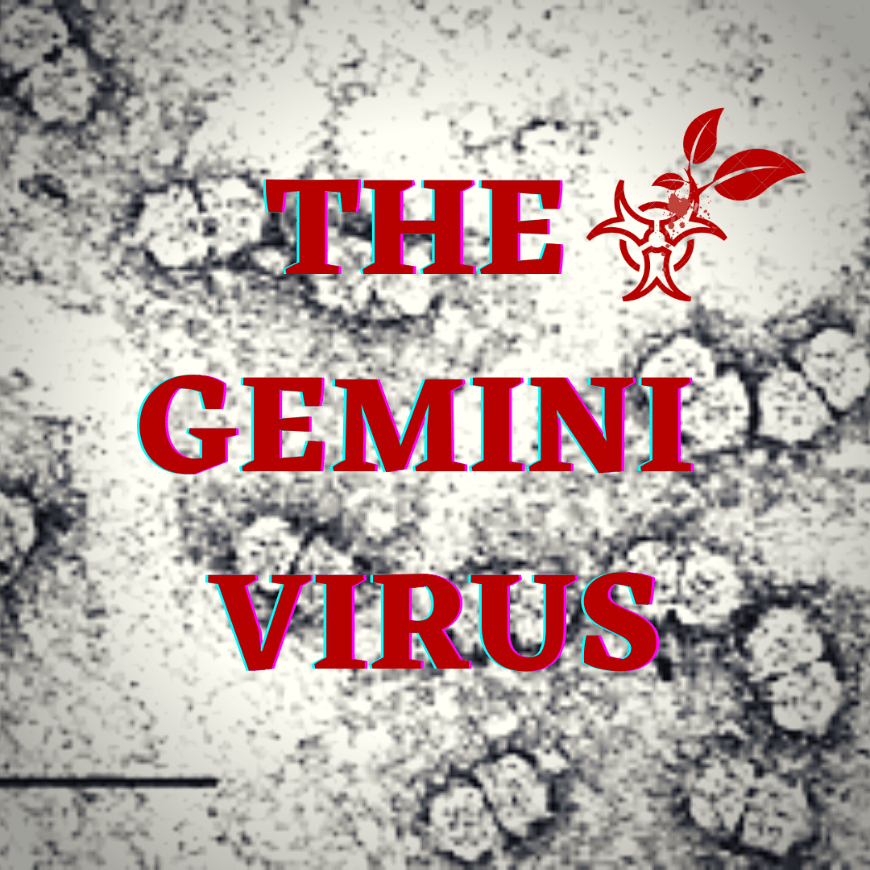 Geminivirus