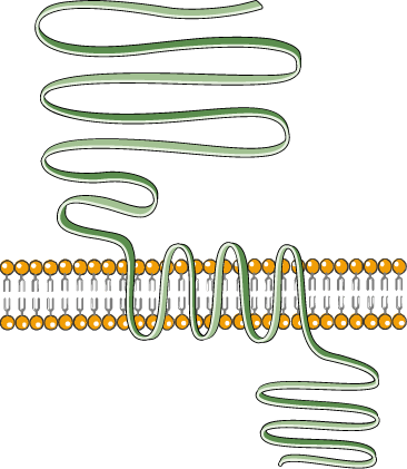 “Death Star” in cancer biology- the mutated form of RAS protein