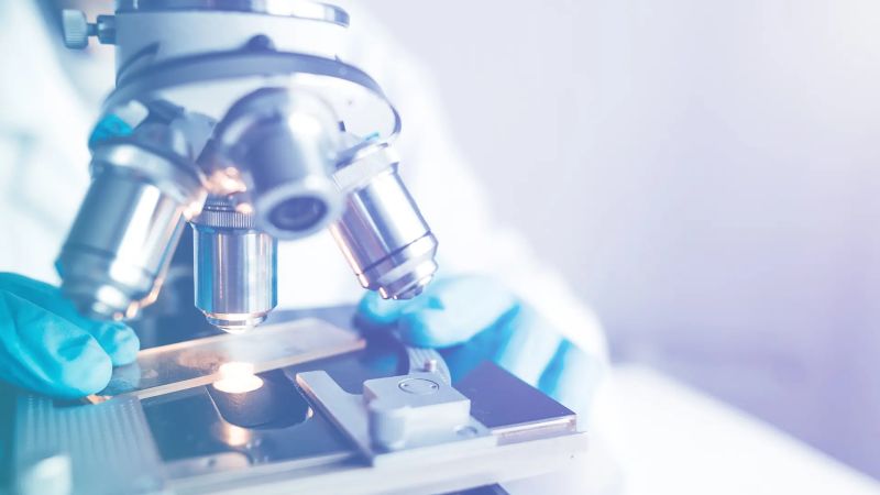 Home Biozipcode Inc - Download High Quality Landscape Design | Ultra HD