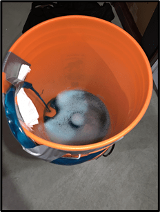 Birdbh Heanan Bird Github - Geometric Pattern Collection - Mobile Quality