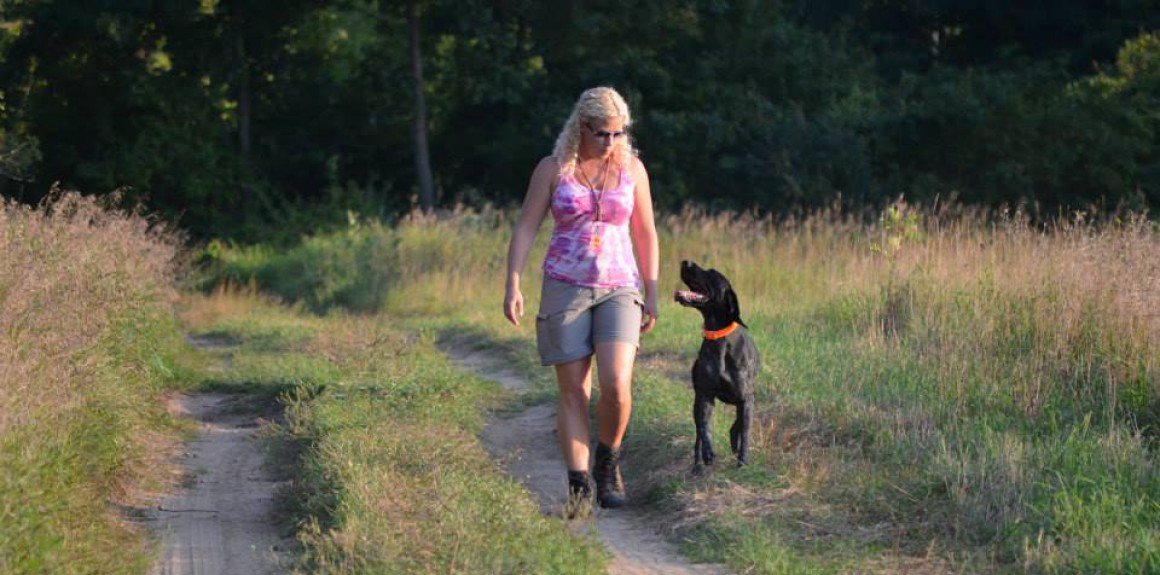 A good dog cannot come in a bad color! Tri Color Gsps Bird Dogs And Points All Her Own