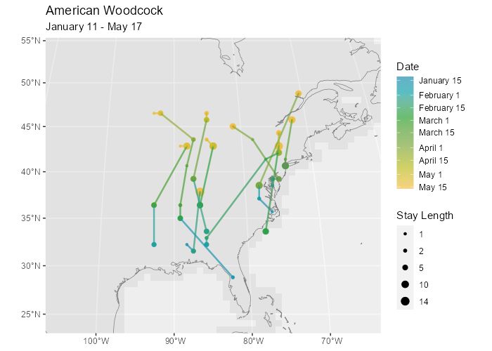 Predict And Visualize Bird Movement Birdflowr - Download Stunning Landscape Texture | 4K