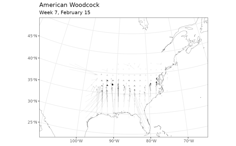 Plot Routes Plot Routes Birdflowr - Amazing Desktop Gradient Wallpapers | Free Download