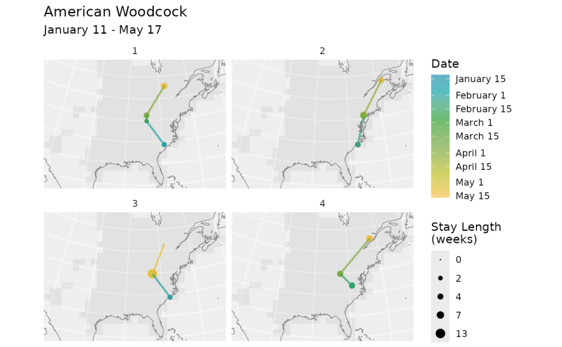 Birdflowr Birdflowr - Professional Full HD Dark Photos | Free Download
