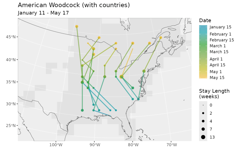 Birdflowr Birdflowr - Professional 4K Ocean Images | Free Download