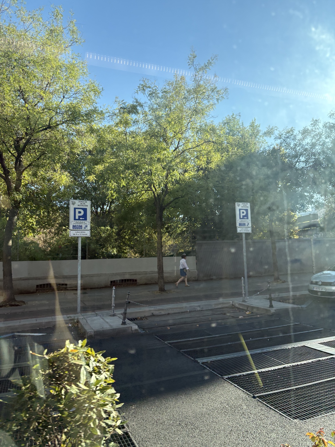 Trees and streets seen from the airport bus