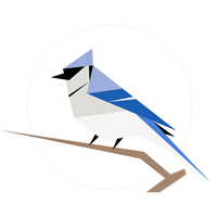 Birdnet Brochure Pdf - Gorgeous High Resolution Abstract Pictures | Free Download