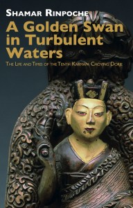 2020 A Golden Swan in Turbulent Waters - Tenth Karmapa - Book Cover