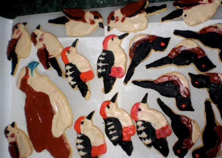 2011: Snow Bunting, Red-bellied Woodpecker, Eastern Towhee, Megaosprey