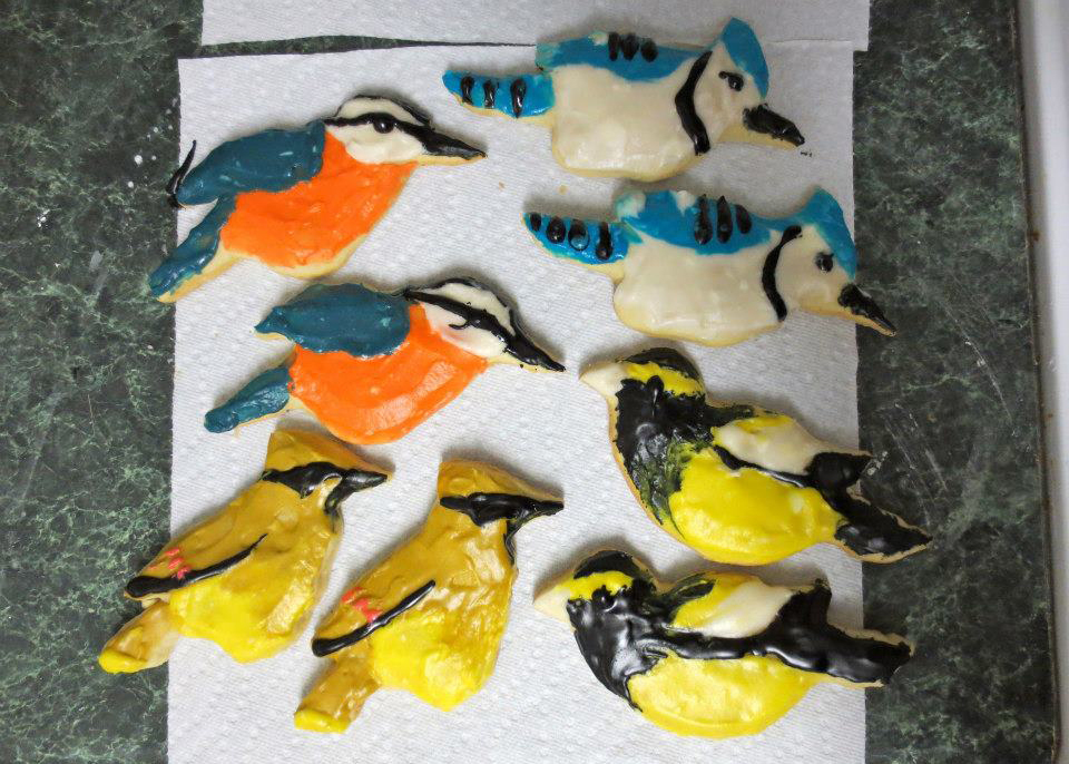 2012: Red-breasted Nuthatch, Blue Jay, Cedar Waxwing, Evening Grosbeak