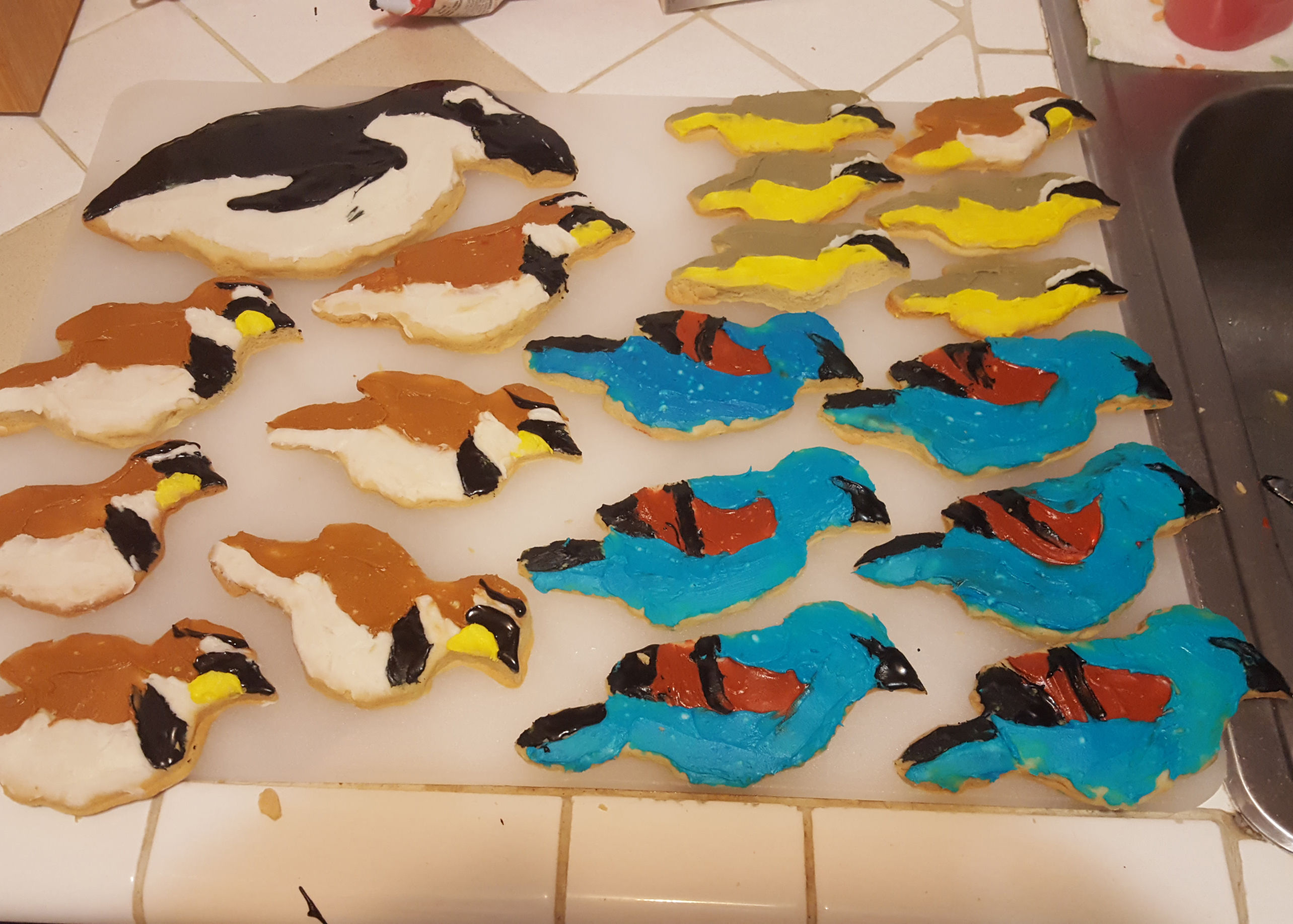 2016: Great Auk, Horned Lark, Common Yellowthroat, Blue Grosbeak