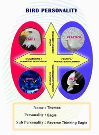Free customized disc profile screening handouts from inscape. Bird Personality Test Disc Personality Test