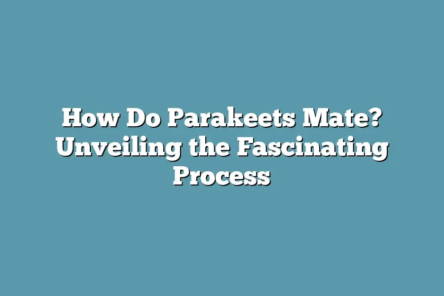 How do parakeets mate? unveiling the fascinating process