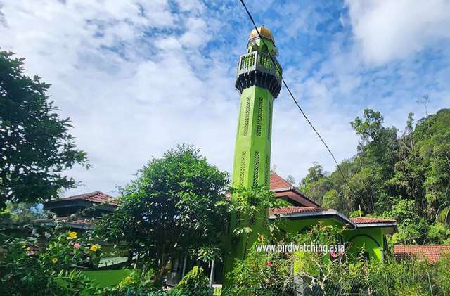 Sultan Mahmud Mosque Fraser's Hill