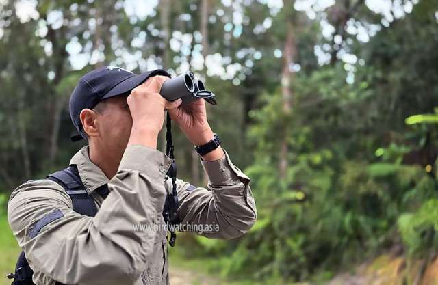 Optisan 8x34 LR ED binoculars testing