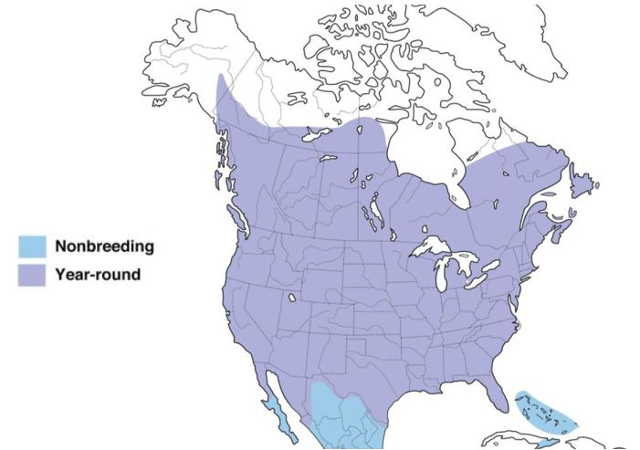 starling range map